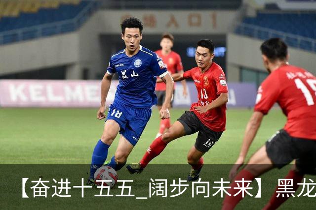 【奋进十五五 阔步向未来】黑龙江农机产业正加速迈向高端化智能化绿色化